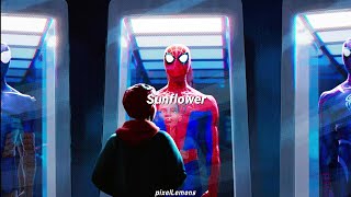 Sunflower - Post Malone (Spider-Man: Into The Spiderverse) // Letra en español