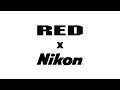 Nikon rachte red 