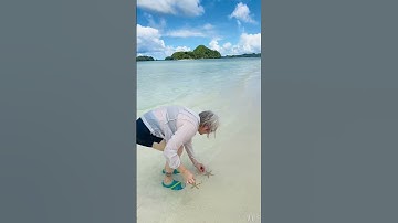 Sea cucumbers here, starfish there — Long Beach in Palau 🇵🇼 is full of ocean surprises!💙🐚