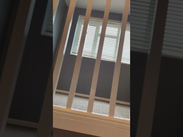 Video 1: