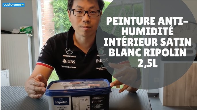 Peinture Antihumidité Rip Etanch, Ripolin Blanc 0.75 L