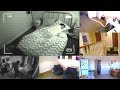 I Live Streamed My Entire Life for 7 Days Straight (No Privacy Experiment)