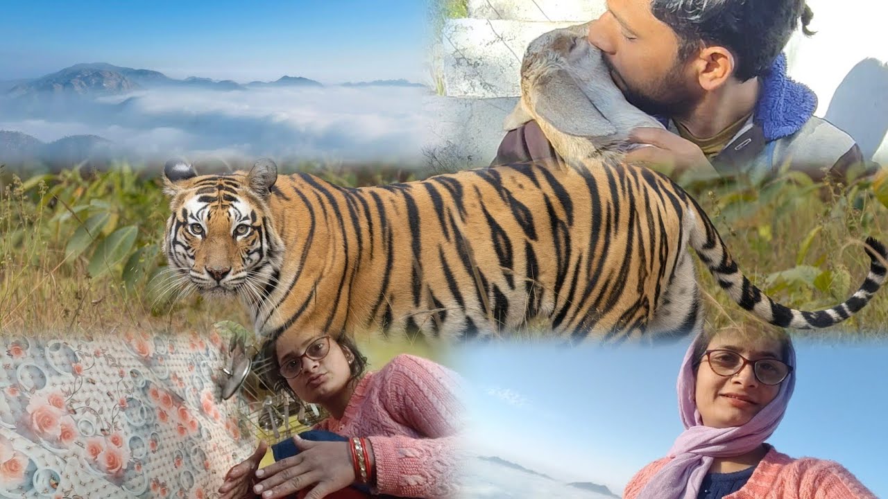 आज देखा हमने बाघ 😳😳🐯🐯 बहुत डर का माहौल गांव में 🧐🧐🧐 