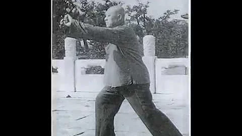 Tai Chi Great Grandmaster Wang Yongquan