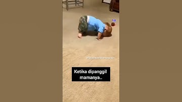Bayi Belajar Merangkak Tapi Kok Jadi... 🤣🤣