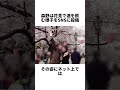 「花見に行ってはいけない法律でもあるんですか?」たった一言で日本中を怒らせた#自転車罰金 #自転車スマホ #事故 #道路交通法#事件