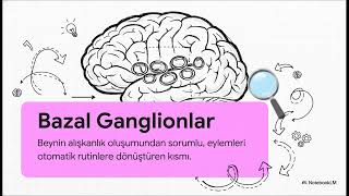 Alışkanlık Edinme Süresi