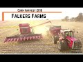 Falkers Farms Corn Harvest 2018