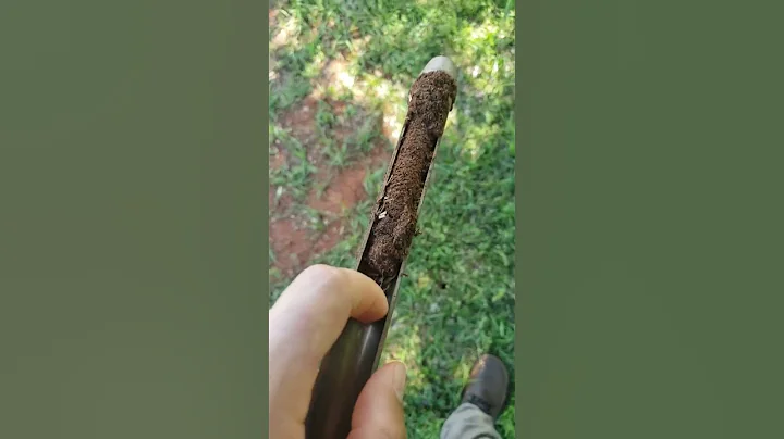 How to take a soil sample