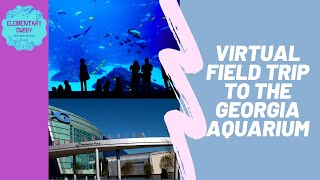 Georgia Aquarium Virtual Field Trip/Tour