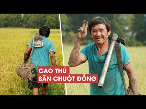 Video Tâm sự của SÁT THỦ CHUỘT ĐỒNG cả thập kỉ đào hang bắt... - youtube