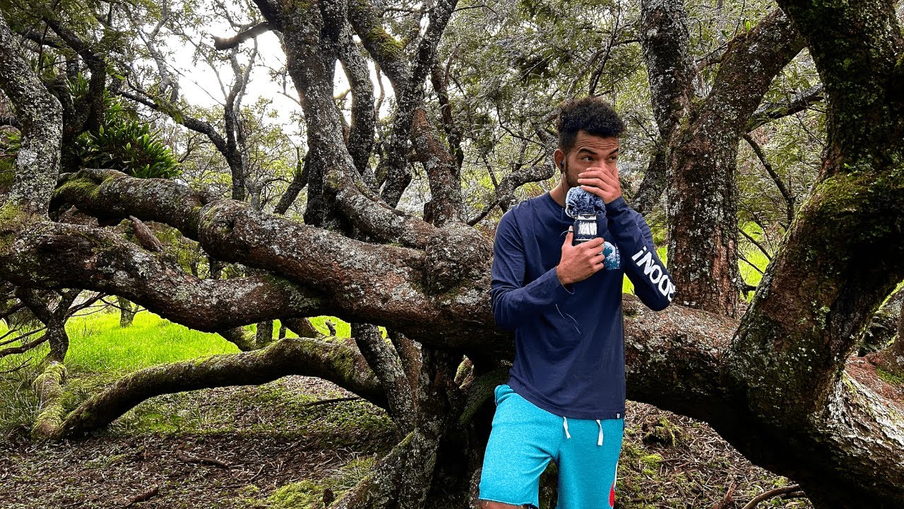 ASMR Détente dans une forêt relaxante