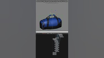 A demo of the auto rigging setup Python script I wrote in Maya : a simple rig for a sports bag