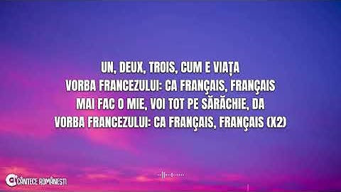 Tzanca Uraganu - Vorba Francezului (Versuri) tik tok version - BUZZ HOUSE OST