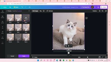 How To Pixelate Image In Canva