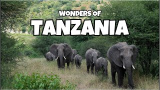 10 UNFORGETTABLE Tanzania Experiences: Wildlife, Culture & Hidden Gems Revealed! 🦒🌿