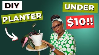 Make Your Own Selfwatering Planter For UNDER $10!
