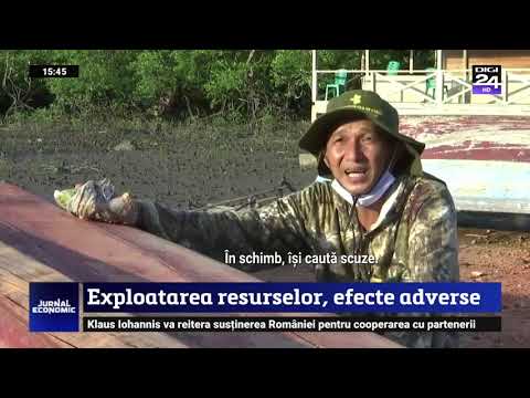 Video: Care sunt efectele negative ale exploatării resurselor minerale?