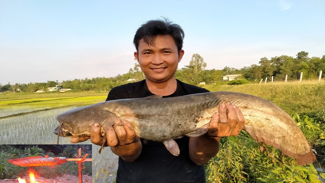 Aboriginal style grilled fish - A delicacy you should try once in ...
