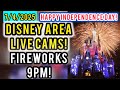 LIVE Disney World Area Cameras! Views + Music + Chat! - HAPPY INDEPENDENCE DAY!