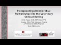 Incorporating Antimicrobial Stewardship into the Veterinary Clinical Setting