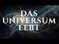 Das Universum lebt – und wir sind Teil seines Bewusstseins