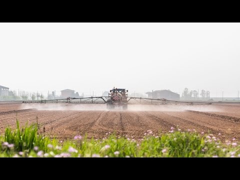 Video: Necessità Di Una Ricerca Indipendente Sugli Effetti Sulla Salute Degli Erbicidi A Base Di Glifosato