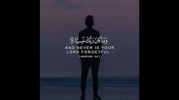 حالات واتس اب دينية /آيات من القرآن الكريم /بصوت القارئ الشيخ مؤيد المزين