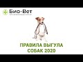 Правила Выгула Собак 2021 / Где Можно И Нельзя Выгуливать Собаку / Био-Вет