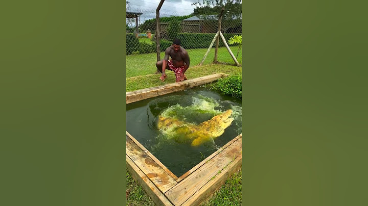 How This Brave Guy Confronts Crocodiles! IG / therealtarzann