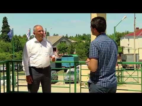 აჭარაში აზიური ფაროსანას წინააღმდეგ წამლობის მიმდინარეობა და შედეგები