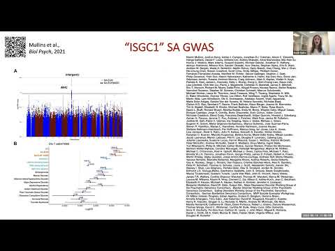 PGC World Wide Lab with the Suicide Working Group