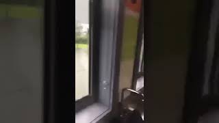 Black power vs mob(1)