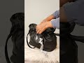 POV: Black bag + surprise ending 😂🖤