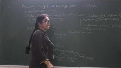 Bio-IX-2-02 Meristematic tissue location and function,   Pradeep Kshetrapal Physics channel