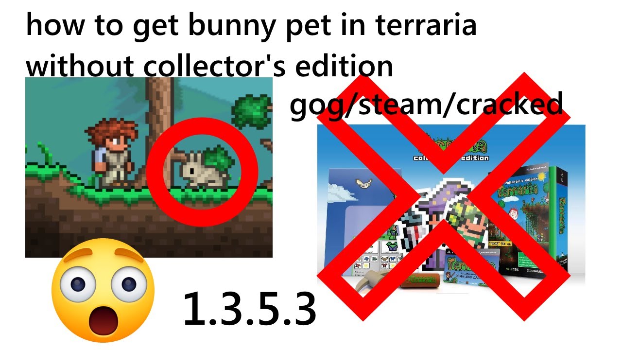 How To Get The Bunny Pet In Terraria Without Collector S Edition Youtube