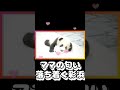【彩浜】 ママの匂いでスヤスヤ 【パンダ】 #彩浜 #panda #パンダ #shorts