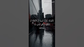 سورة النمل من  آية 20 إلى آية 23 بصوت الشيخ ياسر الدوسري♥♥