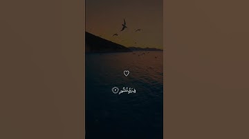 استفتاح مبهر لسورة الطور بصوت القارئ عبدالرحمن ناجي محاكي الليحدان #عبدالرحمن_ناجي #محمد_اللحيدان