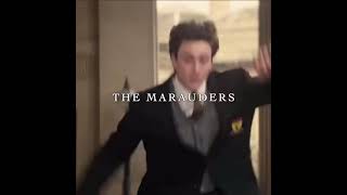 Marauders Edit Moony,Prongs,Padfoot And Wormtail