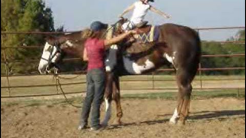 Valley View Ranch - Chips Painted Fantast -  *For up-to-date info, price, etc., go to our website*