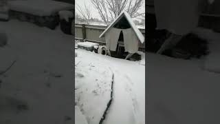 Пришла зима в Нижний Икорец. Снег в Воронежской области