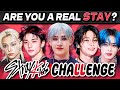 STRAY KIDS QUIZ Are You A Real STAY Kpop Game 2025