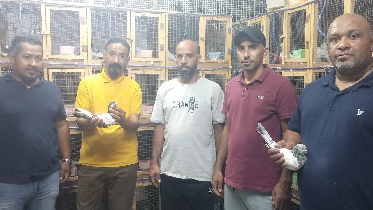 زيارة لسطح الثنائي عبدالله وعلي الطشاني مملكة البحرين