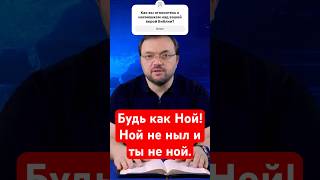 Будь как Ной! Ной не ныл, и ты не ной #biblical_format