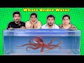 Extreme What's Under Water Challenge | Hungry Birds