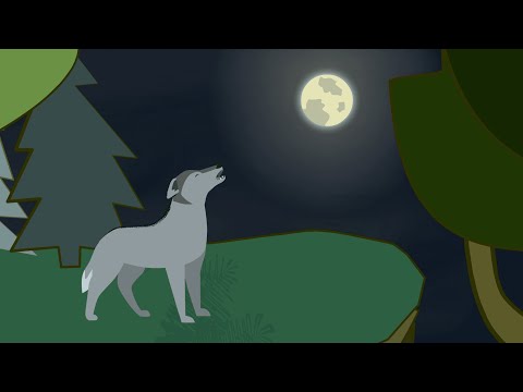 Почему воют волки на луну мультфильм