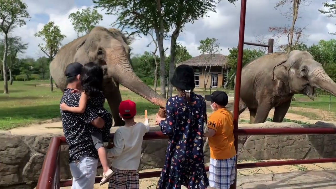 vinpearl land hội an 2022 Update Vinpearl Land Hội An trip