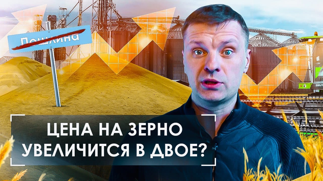 Пшеница подорожает в два раза? Что делать с экспортной пошлиной на ...