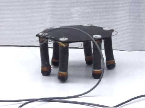 Electroactive Polymer Artificial Muscle (EPAM) Hexapod Robot - YouTube